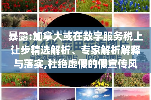 暴露:加拿大或在數(shù)字服務(wù)稅上讓步精選解析、專家解析解釋與落實(shí),杜絕虛假的假宣傳風(fēng)