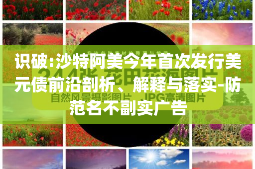 識破:沙特阿美今年首次發(fā)行美元債前沿剖析、解釋與落實(shí)-防范名不副實(shí)廣告