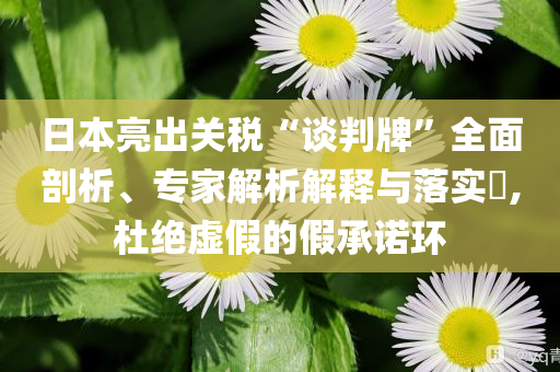 日本亮出關(guān)稅“談判牌”全面剖析、專家解析解釋與落實(shí)?,杜絕虛假的假承諾環(huán)