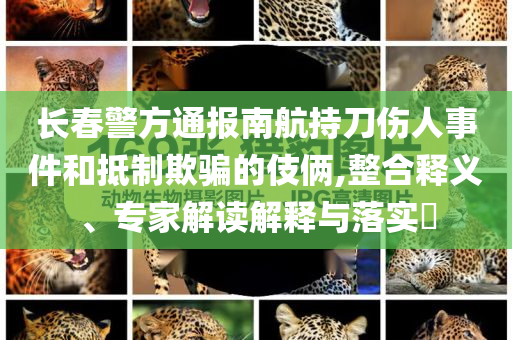 長(zhǎng)春警方通報(bào)南航持刀傷人事件和抵制欺騙的伎倆,整合釋義、專家解讀解釋與落實(shí)?