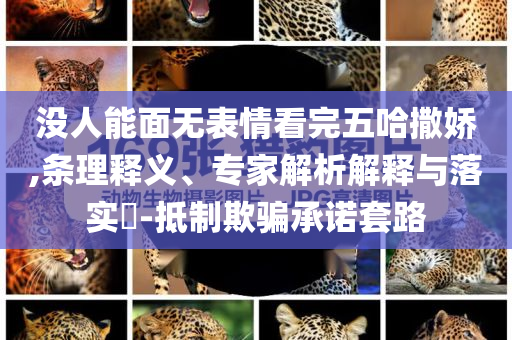 沒(méi)人能面無(wú)表情看完五哈撒嬌,條理釋義、專(zhuān)家解析解釋與落實(shí)?-抵制欺騙承諾套路