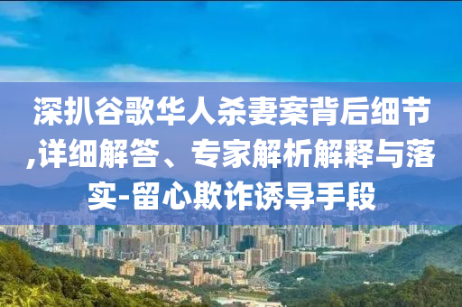 深扒谷歌華人殺妻案背后細(xì)節(jié),詳細(xì)解答、專家解析解釋與落實(shí)-留心欺詐誘導(dǎo)手段