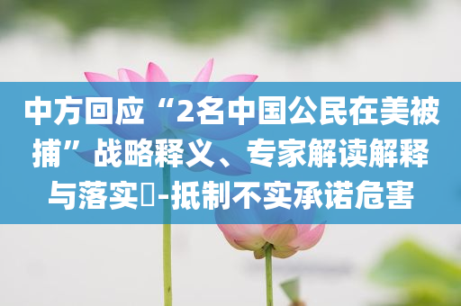 中方回應(yīng)“2名中國公民在美被捕”戰(zhàn)略釋義、專家解讀解釋與落實(shí)?-抵制不實(shí)承諾危害
