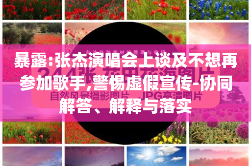 暴露:張杰演唱會上談及不想再參加歌手,警惕虛假宣傳-協(xié)同解答、解釋與落實