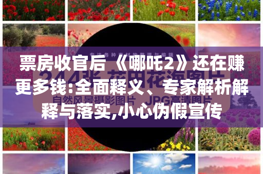 票房收官后 《哪吒2》還在賺更多錢:全面釋義、專家解析解釋與落實,小心偽假宣傳