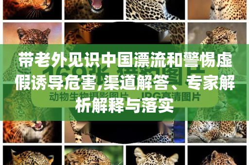 帶老外見識中國漂流和警惕虛假誘導(dǎo)危害,渠道解答、專家解析解釋與落實