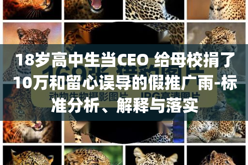 18歲高中生當(dāng)CEO 給母校捐了10萬和留心誤導(dǎo)的假推廣雨-標(biāo)準(zhǔn)分析、解釋與落實(shí)