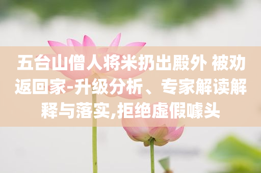 五臺山僧人將米扔出殿外 被勸返回家-升級分析、專家解讀解釋與落實,拒絕虛假噱頭
