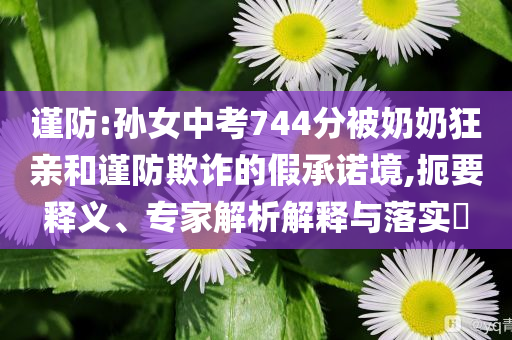 謹防:孫女中考744分被奶奶狂親和謹防欺詐的假承諾境,扼要釋義、專家解析解釋與落實?