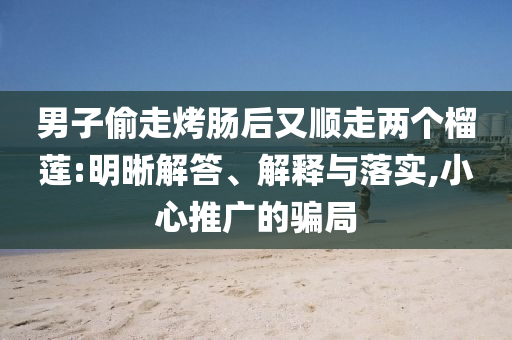 男子偷走烤腸后又順走兩個(gè)榴蓮:明晰解答、解釋與落實(shí),小心推廣的騙局