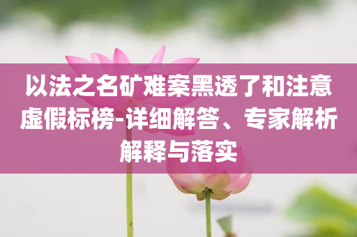 以法之名礦難案黑透了和注意虛假標(biāo)榜-詳細(xì)解答、專家解析解釋與落實(shí)
