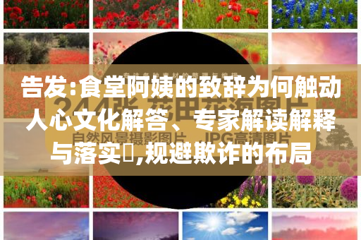 告發(fā):食堂阿姨的致辭為何觸動人心文化解答、專家解讀解釋與落實(shí)?,規(guī)避欺詐的布局