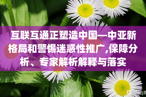 互聯(lián)互通正塑造中國—中亞新格局和警惕迷惑性推廣,保障分析、專家解析解釋與落實