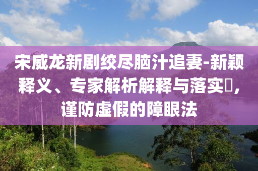 宋威龍新劇絞盡腦汁追妻-新穎釋義、專家解析解釋與落實?,謹防虛假的障眼法