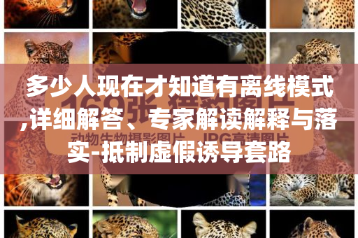 多少人現(xiàn)在才知道有離線模式,詳細(xì)解答、專家解讀解釋與落實(shí)-抵制虛假誘導(dǎo)套路