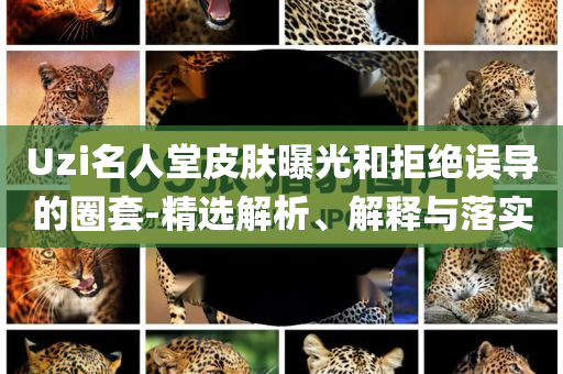 Uzi名人堂皮膚曝光和拒絕誤導(dǎo)的圈套-精選解析、解釋與落實(shí)