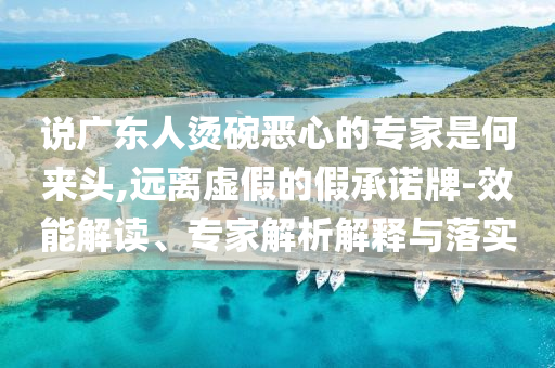 說廣東人燙碗惡心的專家是何來頭,遠(yuǎn)離虛假的假承諾牌-效能解讀、專家解析解釋與落實