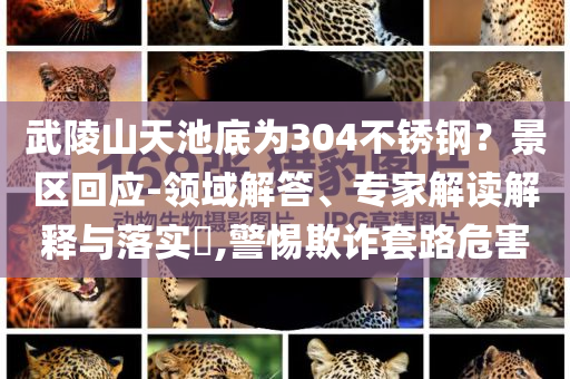 武陵山天池底為304不銹鋼？景區(qū)回應-領域解答、專家解讀解釋與落實?,警惕欺詐套路危害