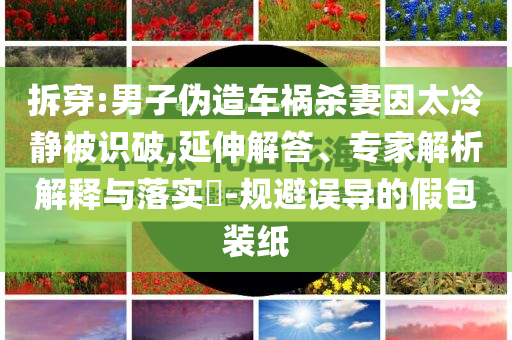 拆穿:男子偽造車禍殺妻因太冷靜被識(shí)破,延伸解答、專家解析解釋與落實(shí)?-規(guī)避誤導(dǎo)的假包裝紙