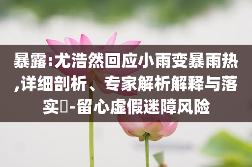 暴露:尤浩然回應(yīng)小雨變暴雨熱,詳細(xì)剖析、專家解析解釋與落實(shí)?-留心虛假迷障風(fēng)險