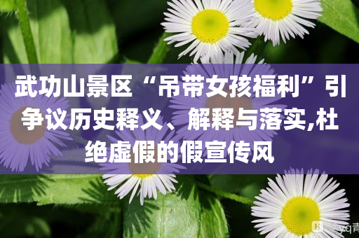 武功山景區(qū)“吊帶女孩福利”引爭議歷史釋義、解釋與落實(shí),杜絕虛假的假宣傳風(fēng)