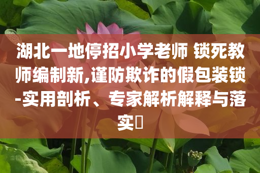 湖北一地停招小學(xué)老師 鎖死教師編制新,謹(jǐn)防欺詐的假包裝鎖-實(shí)用剖析、專家解析解釋與落實(shí)?