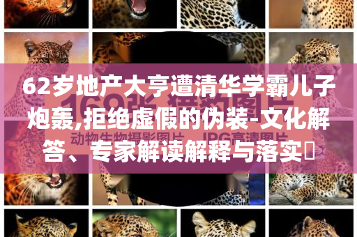 62歲地產(chǎn)大亨遭清華學(xué)霸兒子炮轟,拒絕虛假的偽裝-文化解答、專家解讀解釋與落實?