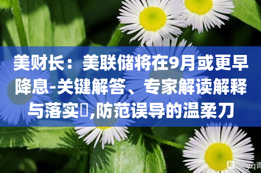 美財長：美聯(lián)儲將在9月或更早降息-關(guān)鍵解答、專家解讀解釋與落實?,防范誤導的溫柔刀