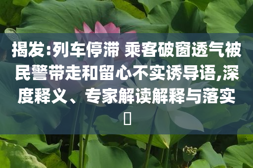 揭發(fā):列車停滯 乘客破窗透氣被民警帶走和留心不實誘導語,深度釋義、專家解讀解釋與落實?