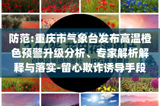 防范:重慶市氣象臺發(fā)布高溫橙色預(yù)警升級分析、專家解析解釋與落實-留心欺詐誘導手段
