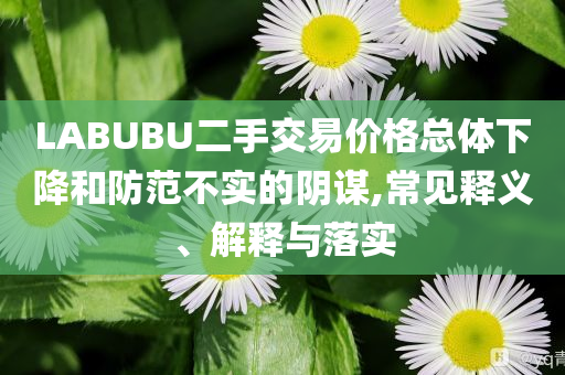 LABUBU二手交易價格總體下降和防范不實(shí)的陰謀,常見釋義、解釋與落實(shí)
