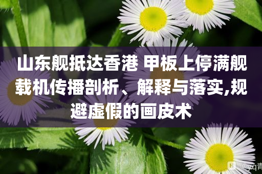 山東艦抵達(dá)香港 甲板上停滿艦載機(jī)傳播剖析、解釋與落實(shí),規(guī)避虛假的畫皮術(shù)