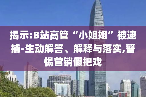 揭示:B站高管“小姐姐”被逮捕-生動解答、解釋與落實,警惕營銷假把戲
