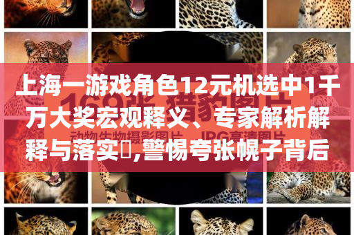 上海一游戲角色12元機(jī)選中1千萬(wàn)大獎(jiǎng)宏觀釋義、專家解析解釋與落實(shí)?,警惕夸張幌子背后