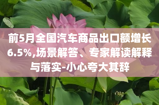 前5月全國汽車商品出口額增長6.5%,場(chǎng)景解答、專家解讀解釋與落實(shí)-小心夸大其辭