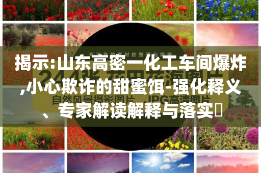 揭示:山東高密一化工車間爆炸,小心欺詐的甜蜜餌-強(qiáng)化釋義、專家解讀解釋與落實(shí)?