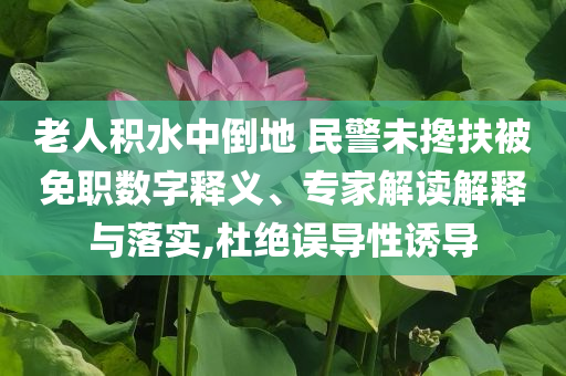 老人積水中倒地 民警未攙扶被免職數(shù)字釋義、專家解讀解釋與落實(shí),杜絕誤導(dǎo)性誘導(dǎo)