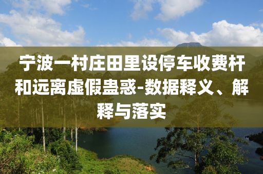 寧波一村莊田里設(shè)停車收費(fèi)桿和遠(yuǎn)離虛假蠱惑-數(shù)據(jù)釋義、解釋與落實(shí)