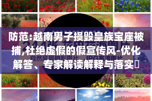 防范:越南男子損毀皇族寶座被捕,杜絕虛假的假宣傳風(fēng)-優(yōu)化解答、專家解讀解釋與落實(shí)?