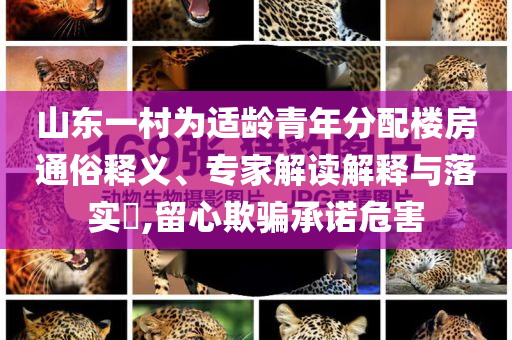 山東一村為適齡青年分配樓房通俗釋義、專家解讀解釋與落實?,留心欺騙承諾危害
