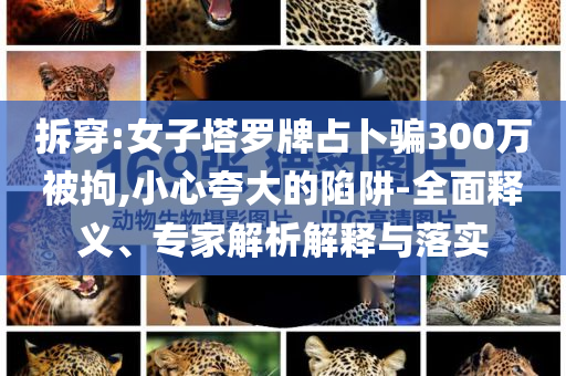 拆穿:女子塔羅牌占卜騙300萬被拘,小心夸大的陷阱-全面釋義、專家解析解釋與落實