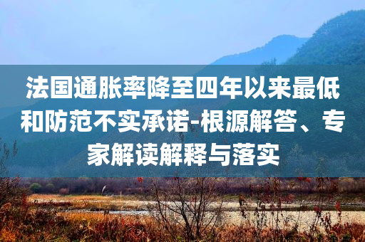 法國(guó)通脹率降至四年以來(lái)最低和防范不實(shí)承諾-根源解答、專家解讀解釋與落實(shí)