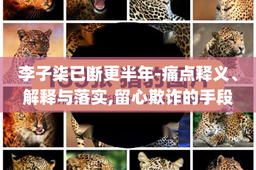 李子柒已斷更半年-痛點(diǎn)釋義、解釋與落實(shí),留心欺詐的手段