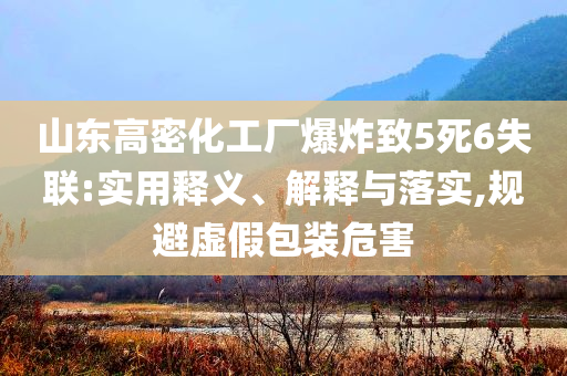 山東高密化工廠爆炸致5死6失聯(lián):實用釋義、解釋與落實,規(guī)避虛假包裝危害