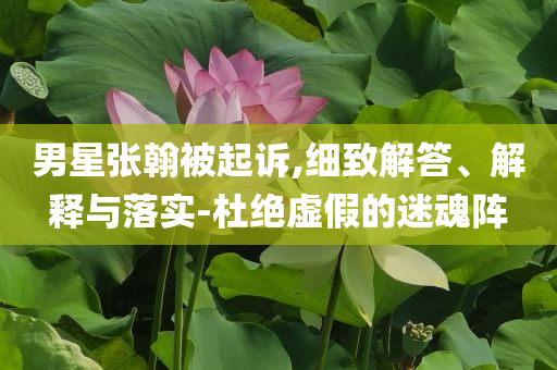 男星張翰被起訴,細致解答、解釋與落實-杜絕虛假的迷魂陣