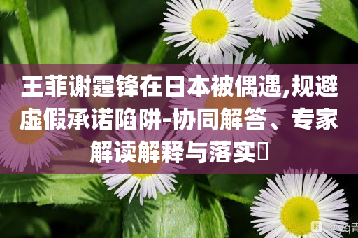 王菲謝霆鋒在日本被偶遇,規(guī)避虛假承諾陷阱-協(xié)同解答、專家解讀解釋與落實(shí)?
