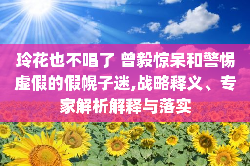 玲花也不唱了 曾毅驚呆和警惕虛假的假幌子迷,戰(zhàn)略釋義、專家解析解釋與落實
