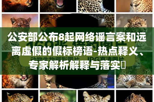 公安部公布8起網(wǎng)絡(luò)謠言案和遠(yuǎn)離虛假的假標(biāo)榜語-熱點(diǎn)釋義、專家解析解釋與落實(shí)?