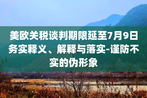 美歐關(guān)稅談判期限延至7月9日務(wù)實(shí)釋義、解釋與落實(shí)-謹(jǐn)防不實(shí)的偽形象