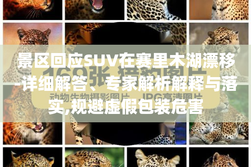 景區(qū)回應(yīng)SUV在賽里木湖漂移-詳細(xì)解答、專家解析解釋與落實(shí),規(guī)避虛假包裝危害